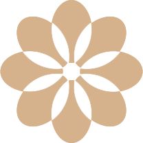 攻略：从吃喝到治疗一步不落！九游会J9入口透析肾友春节全