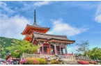 滞留高喊退票！知名景区致歉j9九游会入口